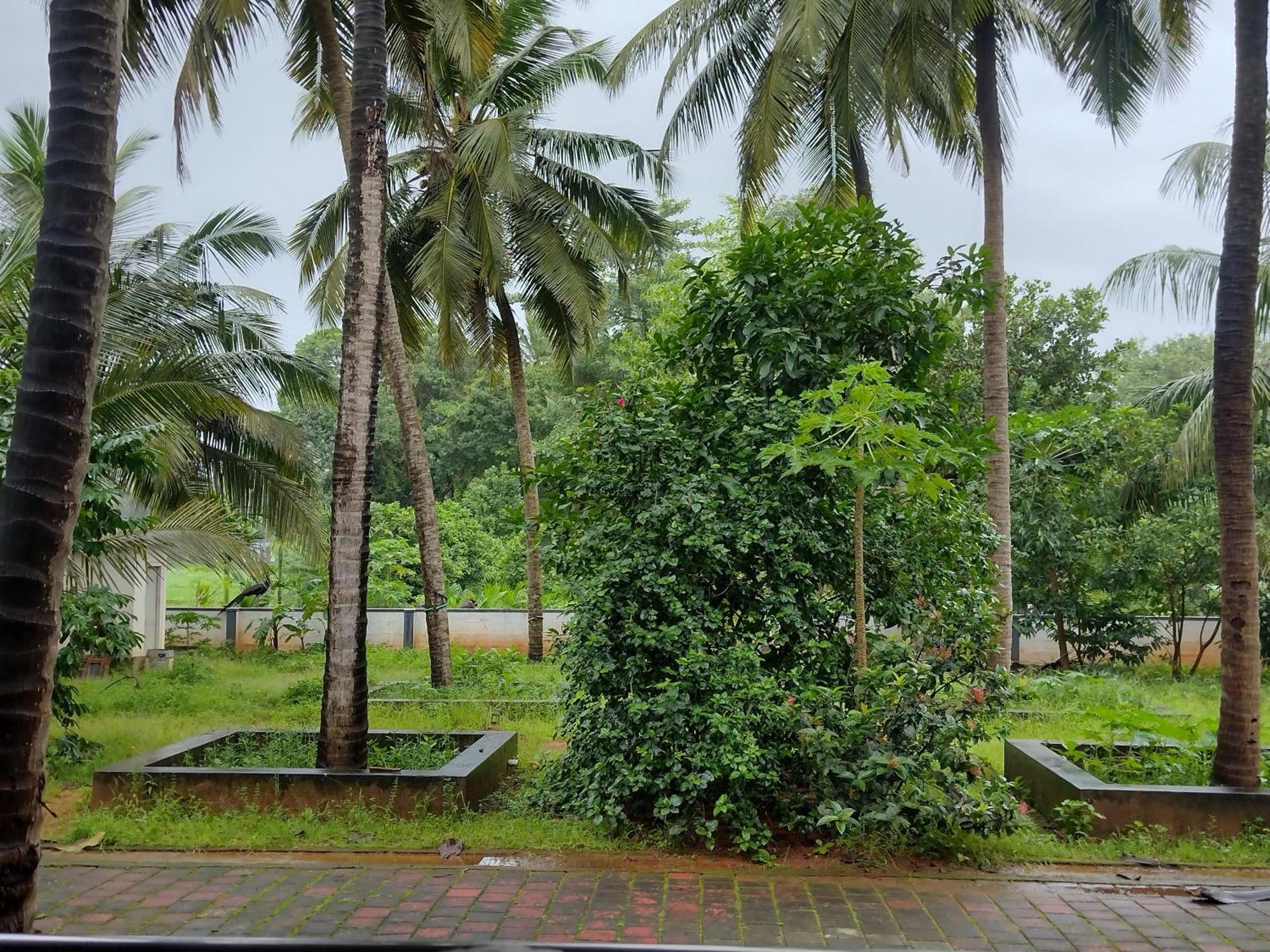 Jayadurga Farms - An Eco-Friendly Homestay Udupi Buitenkant foto